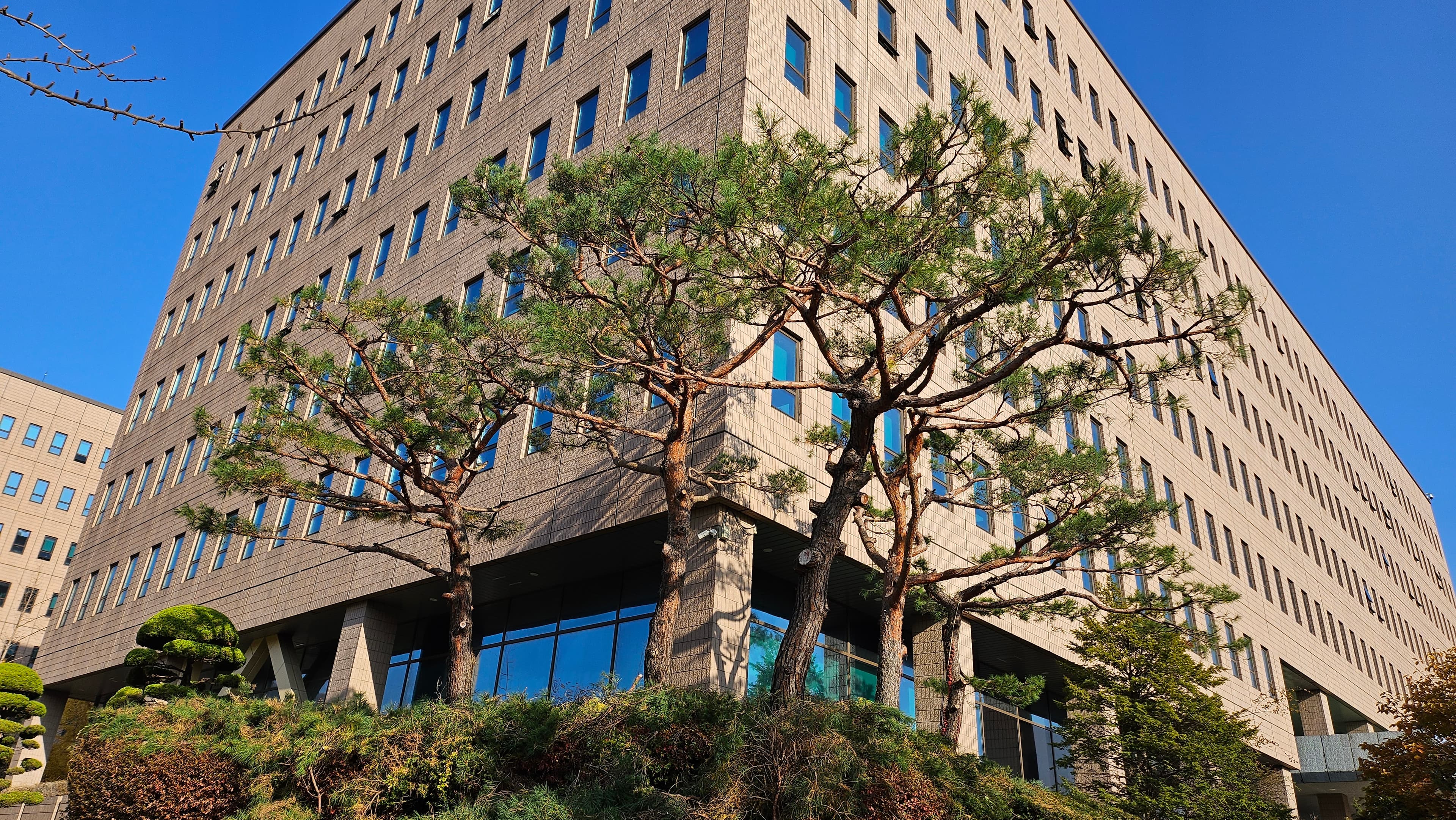 느티나무병원 협동조합